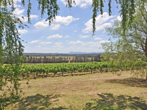 Beggars Bridge Vineyard Homestead W/ Pool + Wifi + Tennis + Vineyard - South Australia Travel 3