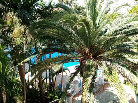 Bel Air Private Condominium - South Australia Travel 0