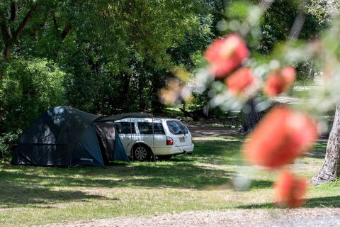 Belair National Park Holiday Park - South Australia Travel 0