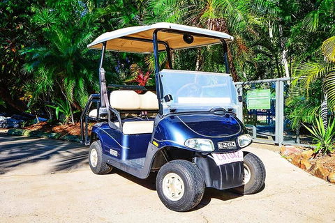 Bella Vista East 3 Luxury Ocean Views Large Flat Grassed Area And Buggy - South Australia Travel 3