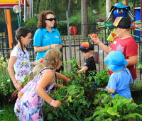 Book Lemon Tree Passage Accommodation Vacations South Australia Travel South Australia Travel