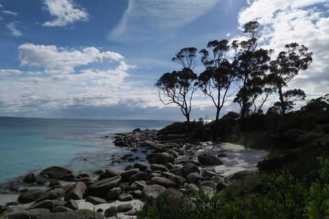 Binalong Bay Beach Shack - South Australia Travel 0