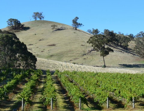 Blue House At Mountainside Wines - South Australia Travel 3
