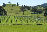 Book Mount Cole Accommodation Vacations South Australia Travel South Australia Travel