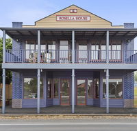 Blue Rosella On Piper