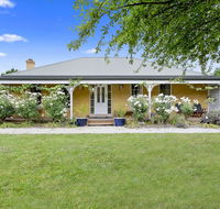 Blue Wren - South Australia Travel