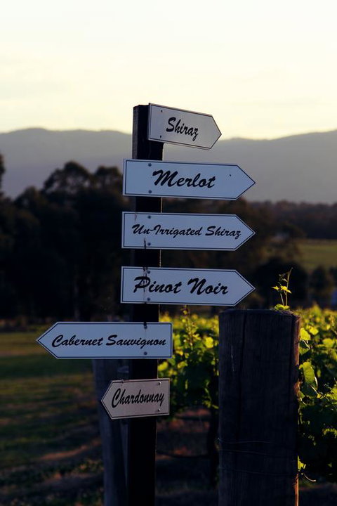 Blueberry Hill Vineyard Villa - South Australia Travel 3