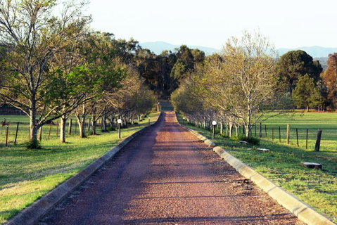 Blueberry Hill Vineyard Villa - South Australia Travel 0