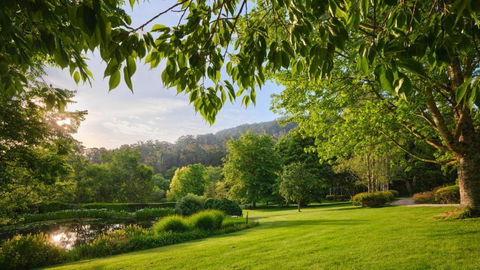 Tieve Tara - South Australia Travel 1