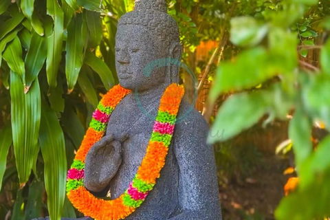 Zenhouse: 6-BR Balinese Tropical Oasis In Nightcliff Central - South Australia Travel 3