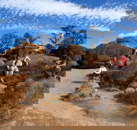 The Big Wave Rock Private Day Tour - South Australia Travel