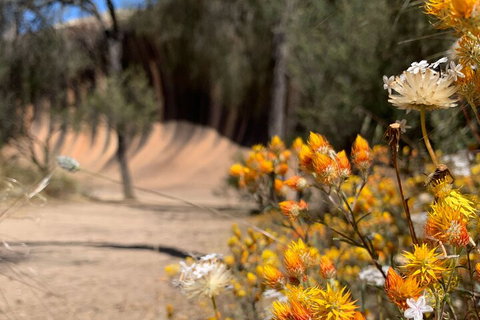 The Big Wave Rock (Private) Day Tour - South Australia Travel 3