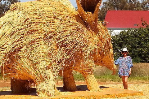 The Big Wave Rock (Private) Day Tour - South Australia Travel 5