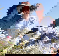 Spring Wildflower Private Day Tours - South Australia Travel