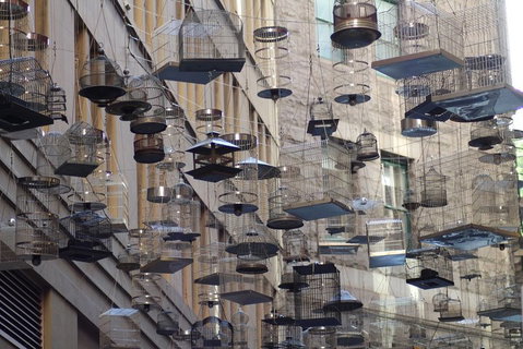 Sydney Scavenger Hunt: Inside Sydney - South Australia Travel 0