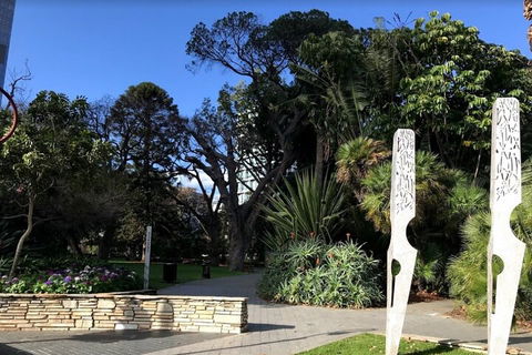 Perth Scavenger Hunt: Perched On A Swan - South Australia Travel 2