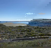 Penguin Island And Fremantle - Canoe Chocolate  Coffee - South Australia Travel