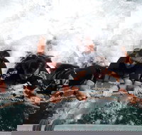 Cruise in Moreton Bay Marine Park and Moreton Island - South Australia Travel