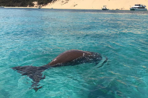 Cruise In Moreton Bay Marine Park And Moreton Island - South Australia Travel 2