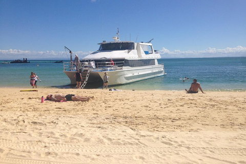 Cruise In Moreton Bay Marine Park And Moreton Island - South Australia Travel 4