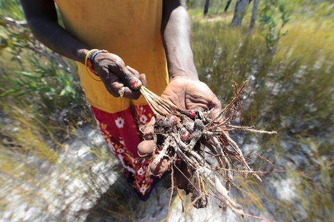 Gay-Wu Woman's 5 Day Yolngu Homeland Tour - South Australia Travel 0