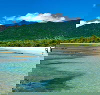 5-Day Best of Cairns with Daintree Kuranda and Great Barrier Reef - South Australia Travel