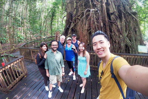 Cairns 4WD Waterfall And Rainforest Tour Including Kuranda Scenic Railway - South Australia Travel 0