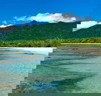 8-Day Cairns Tour Great Barrier Reef Kuranda Daintree Rainforest - South Australia Travel