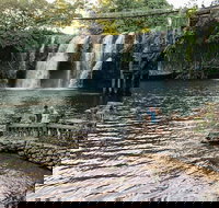 Paronella Park and Millaa Millaa Falls Full-day Tour from Cairns - South Australia Travel