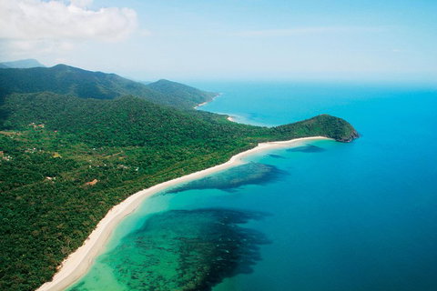 Cape Tribulation, Mossman Gorge, And Daintree Rainforest Premium Day Tour - South Australia Travel 2