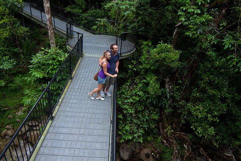 Cape Tribulation, Mossman Gorge, And Daintree Rainforest Premium Day Tour - South Australia Travel 3