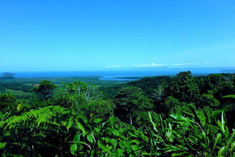 Cape Tribulation, Mossman Gorge, And Daintree Rainforest Premium Day Tour - South Australia Travel 5