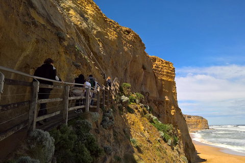 Private Express Experience - 12 Apostles - South Australia Travel 3