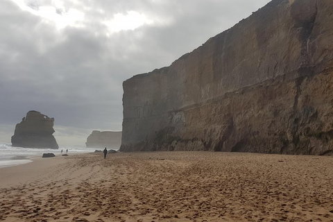 Private Express Experience - 12 Apostles - South Australia Travel 4