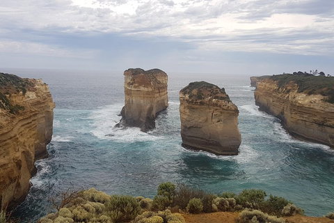 Private Express Experience - 12 Apostles - South Australia Travel 5