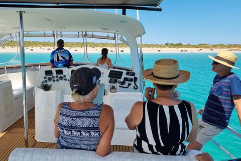 Snubfin Dolphin Eco Cruise From Broome - South Australia Travel 5