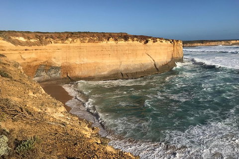 12 Apostles Tour From Warrnambool - South Australia Travel 1