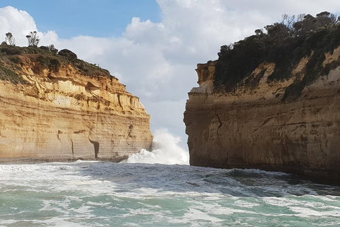 12 Apostles Tour From Warrnambool - South Australia Travel 2