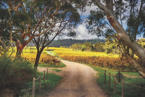 McLaren Vale Winery Small Group Tour With Wine Tasting And Lunch - South Australia Travel 1