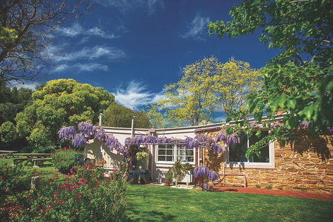 McLaren Vale Winery Small Group Tour With Wine Tasting And Lunch - South Australia Travel 2