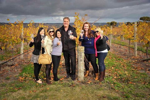 McLaren Vale Winery Small Group Tour With Wine Tasting And Lunch - South Australia Travel 3