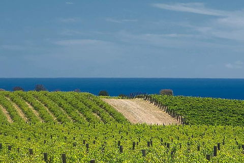 McLaren Vale Winery Small Group Tour With Wine Tasting And Lunch - South Australia Travel 4