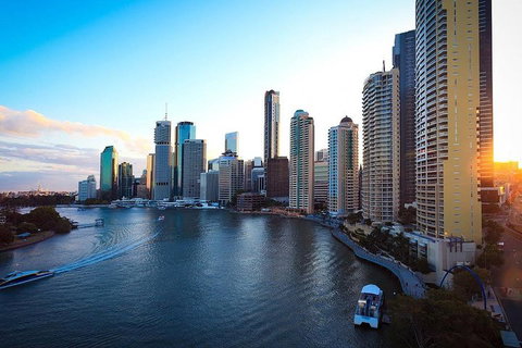 Brisbane City Highlights With Lone Pine! - South Australia Travel 3