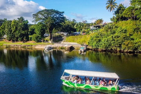 Afternoon Half-Day Daintree Rainforest And River Tour - South Australia Travel 1