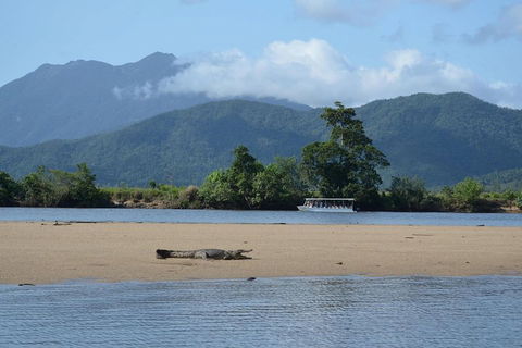 Afternoon Half-Day Daintree Rainforest And River Tour - South Australia Travel 2