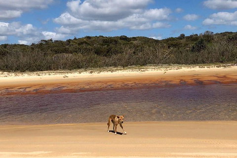 Pippies 3 Days 2 Nights Fraser Island Tour - South Australia Travel 2
