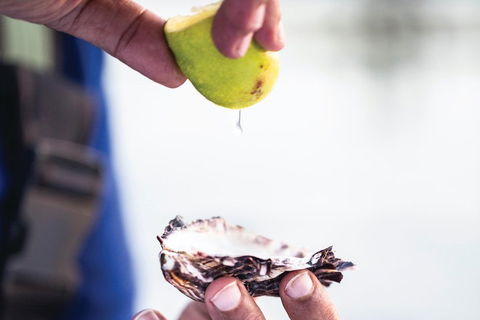 One-Way East Coaster - South Australia Travel 3