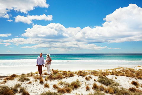 One-Way East Coaster - South Australia Travel 4