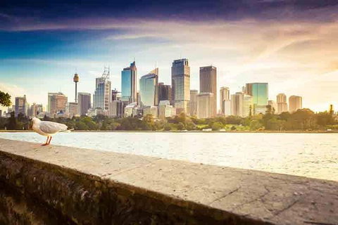 Private Sydney City And Bondi Beach Half Day Tour - South Australia Travel 2