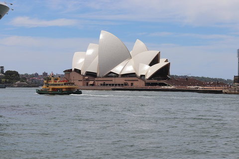 Private Sydney City And Bondi Beach Half Day Tour - South Australia Travel 5